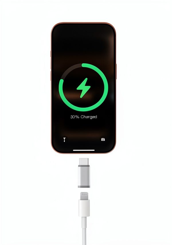 ZOOAUX PRO Lightning to USB C Adapter-1