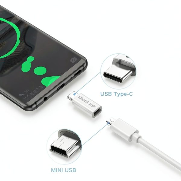 QianLink Mini USB to USB C Adapter for Samsung Galaxy-2