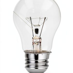 316538904 Light Bulb Amesias Oven 2700K 40W High Temp Replacement-0